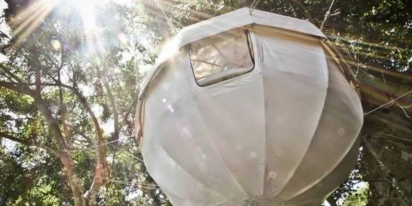 Marre des hôtels ? Dormez dans une bulle #4