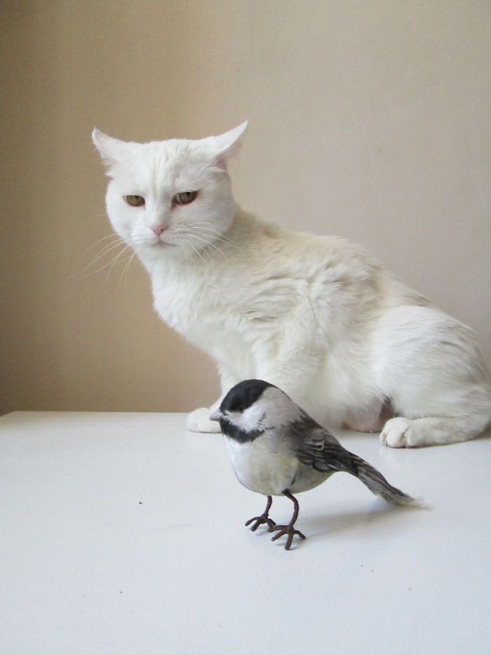 Cette artiste imagine des coussins en forme d’animaux ultra-réalistes #4