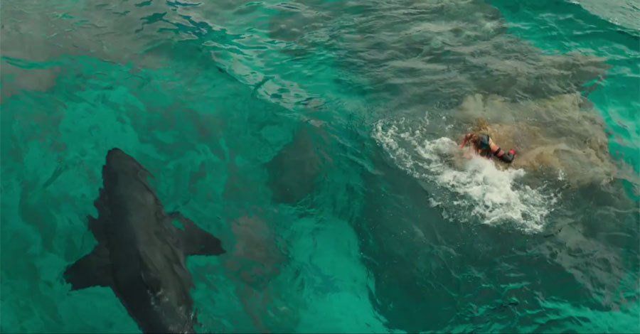 Critique Instinct de Survie The Shallows #6