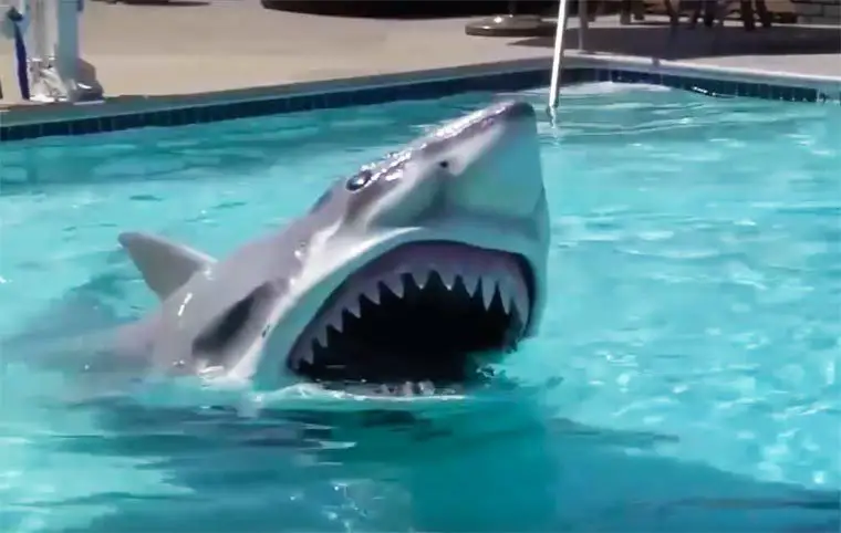 Ce déguisement de requin va vous glacer le sang #4