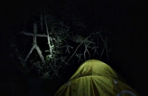 Blair Witch : la bande-annonce finale vient de sortir #3