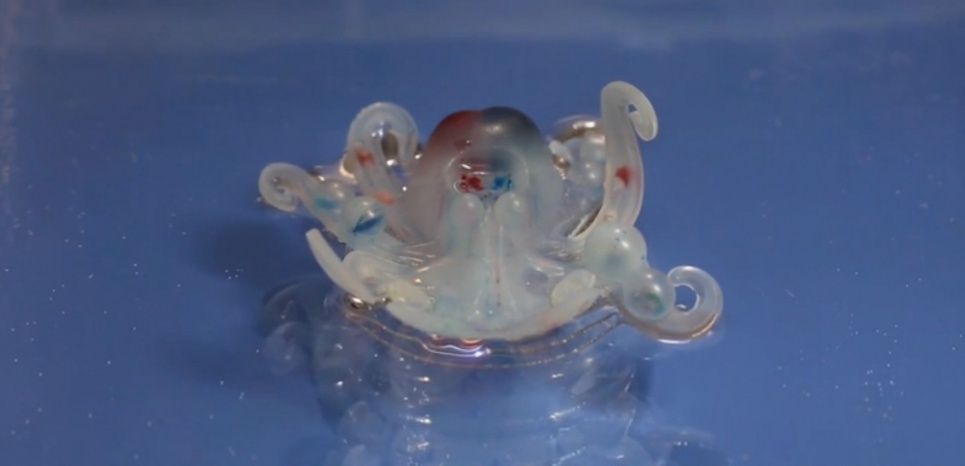 Octobot : un robot-pieuvre « mou » imprimé en 3D