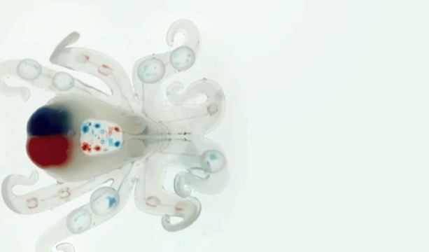 Octobot : un robot-pieuvre « mou » imprimé en 3D #3
