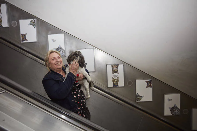 A Londres, les chats ont envahi le métro #4