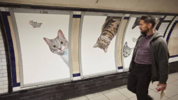 A Londres, les chats ont envahi le métro