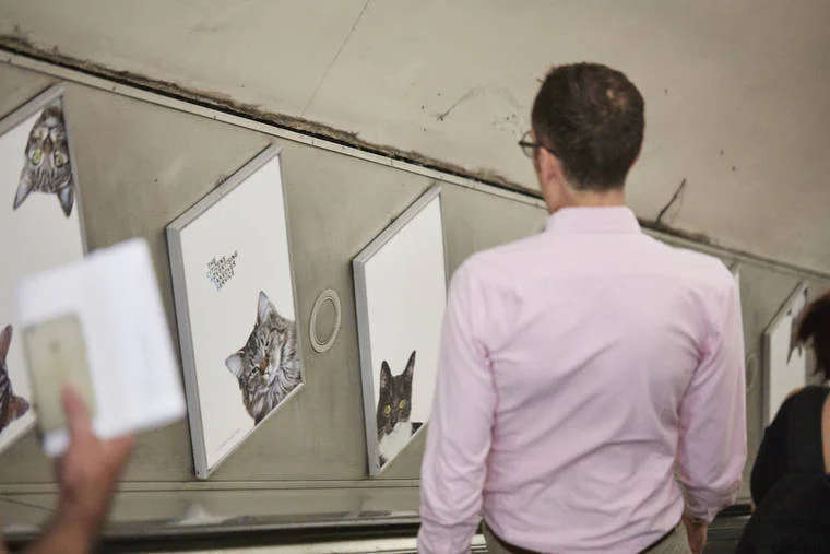 A Londres, les chats ont envahi le métro #9