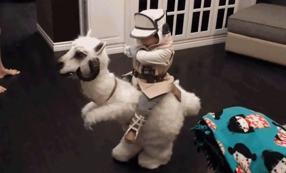 Star Wars : ce cosplay de Tauntaun vous fera craquer