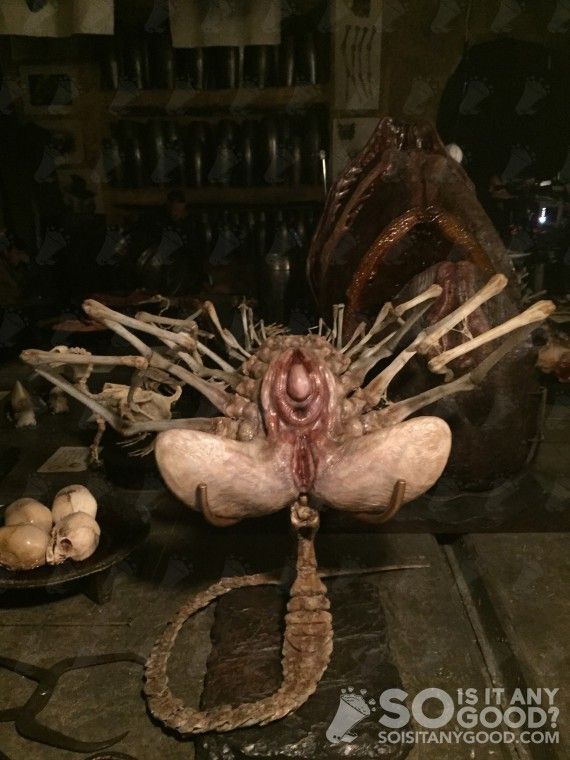 Alien Covenant : de nouvelles photos ont fuité #3