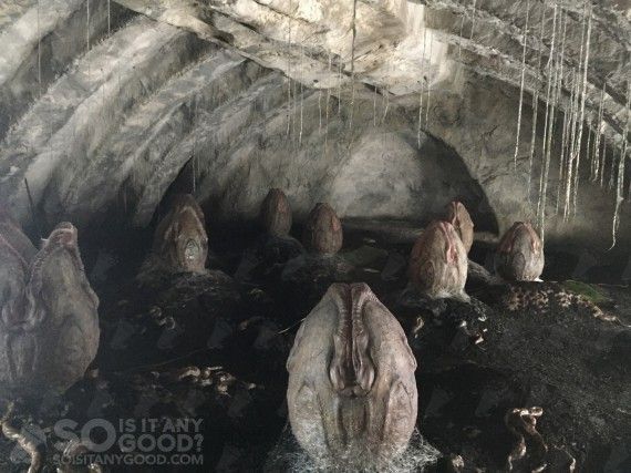 Alien Covenant : de nouvelles photos ont fuité #4