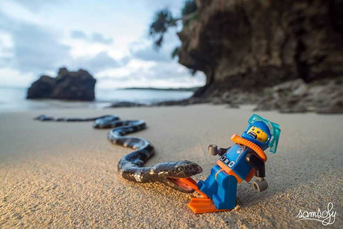LEGO : un artiste met en scène des minifigs en s’inspirant de la pop culture #12