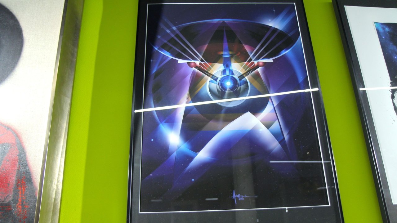 startrek9691