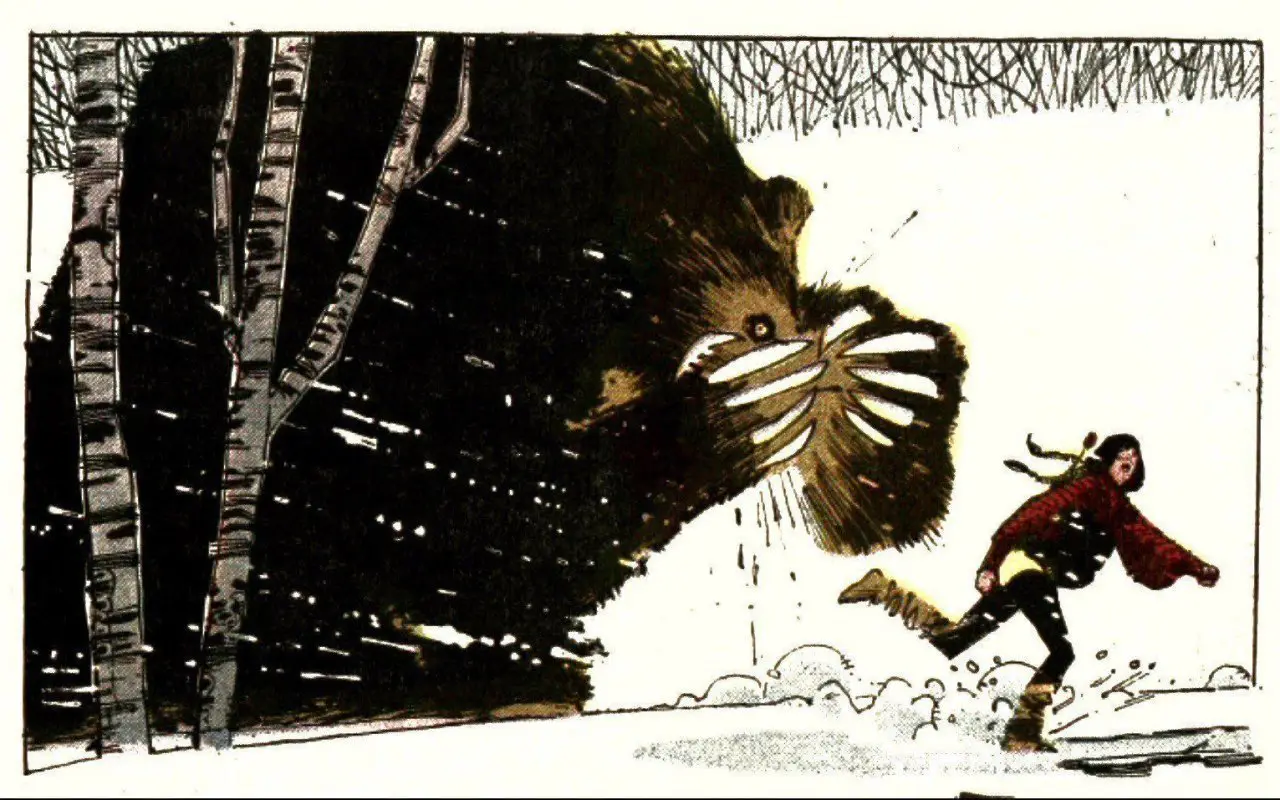 18-bear2