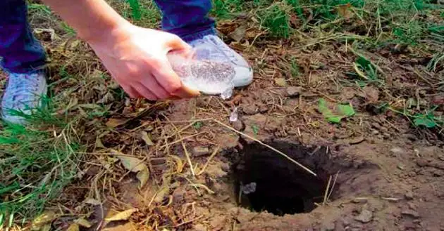 L’eau solide : une invention géniale pour combattre la sècheresse #3