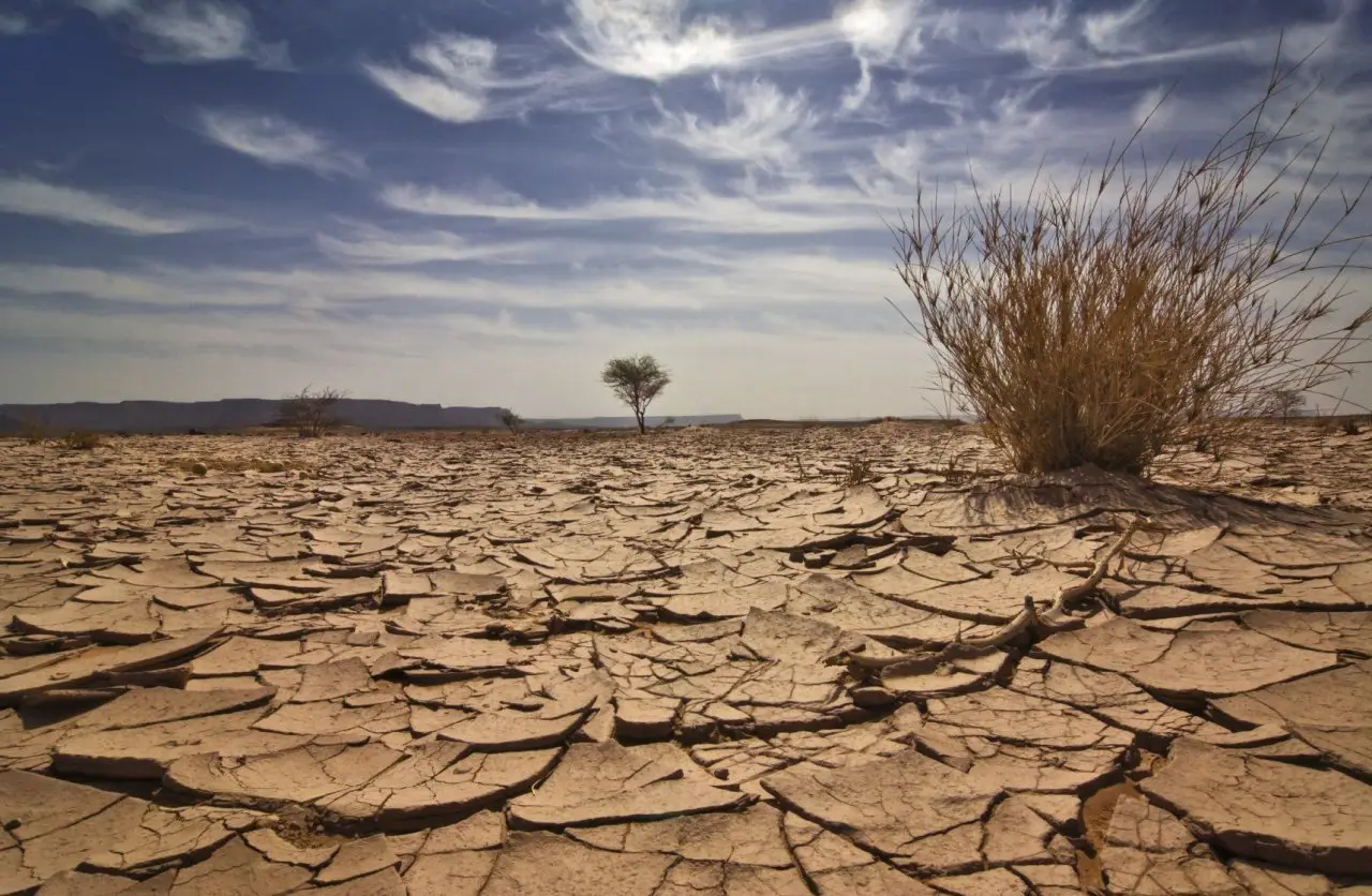L’eau solide : une invention géniale pour combattre la sècheresse #4