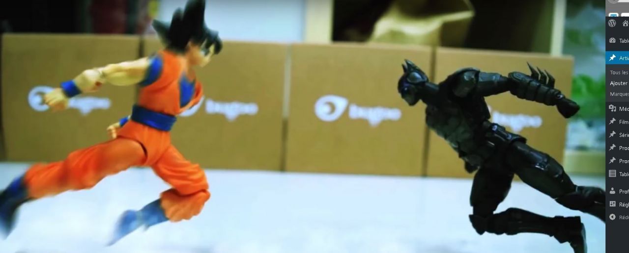 Batman VS Goku, l’affrontement ultime en stop motion #4