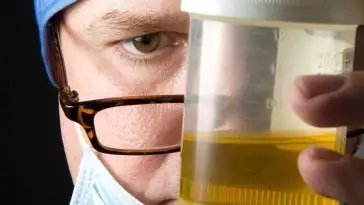 Des chercheurs imaginent une batterie qui fonctionne à l’urine