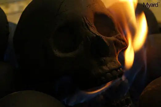 Des crânes ignifugés à mettre dans votre cheminée #2