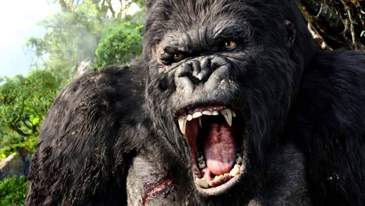 Critique Kong Skull Island : visuellement superbe, mais … #6