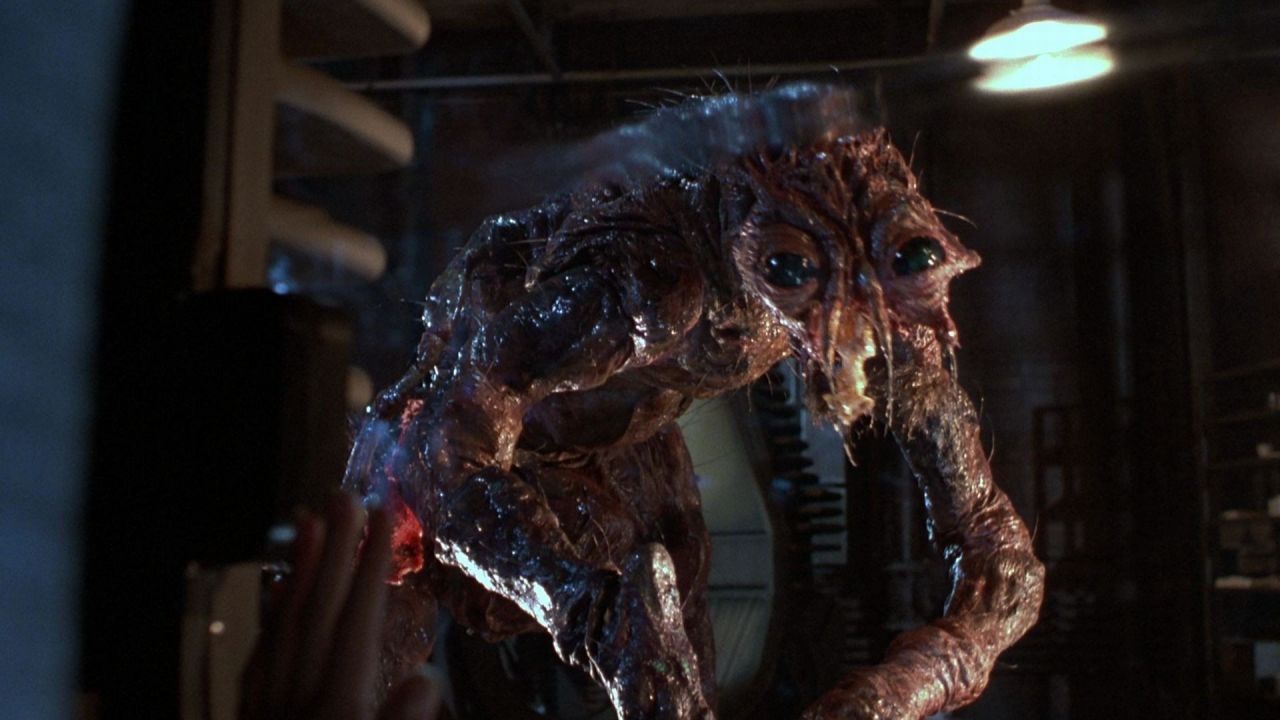 La Mouche va avoir droit à son remake #3