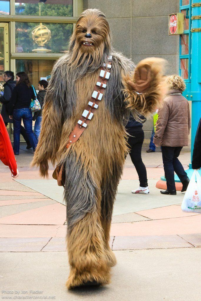 Disneyland Paris organise 2 énormes soirées Star Wars #6