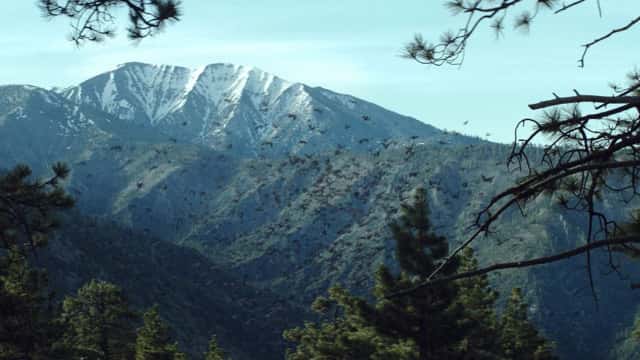 Far Cry 5 : 4 teasers nous emmènent dans le Montana #3