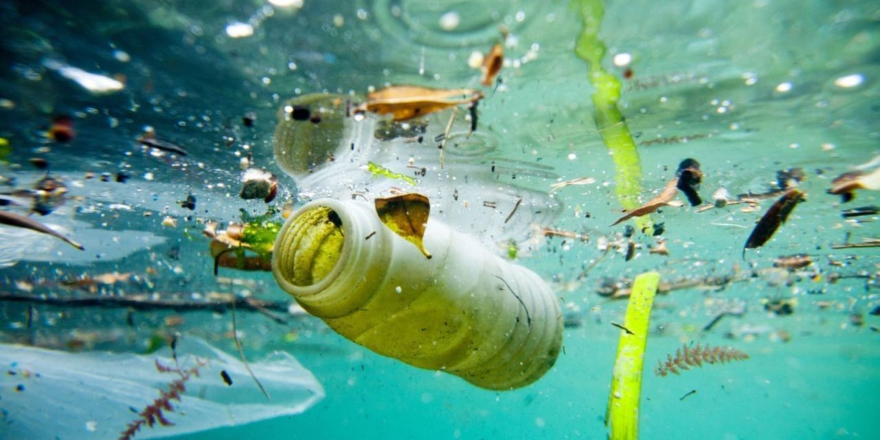 Ooho : une bulle d’eau qui se gobe #3
