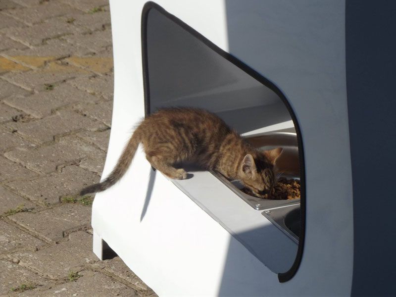 Le recyclage de vos bouteilles peut aider à nourrir les animaux #5