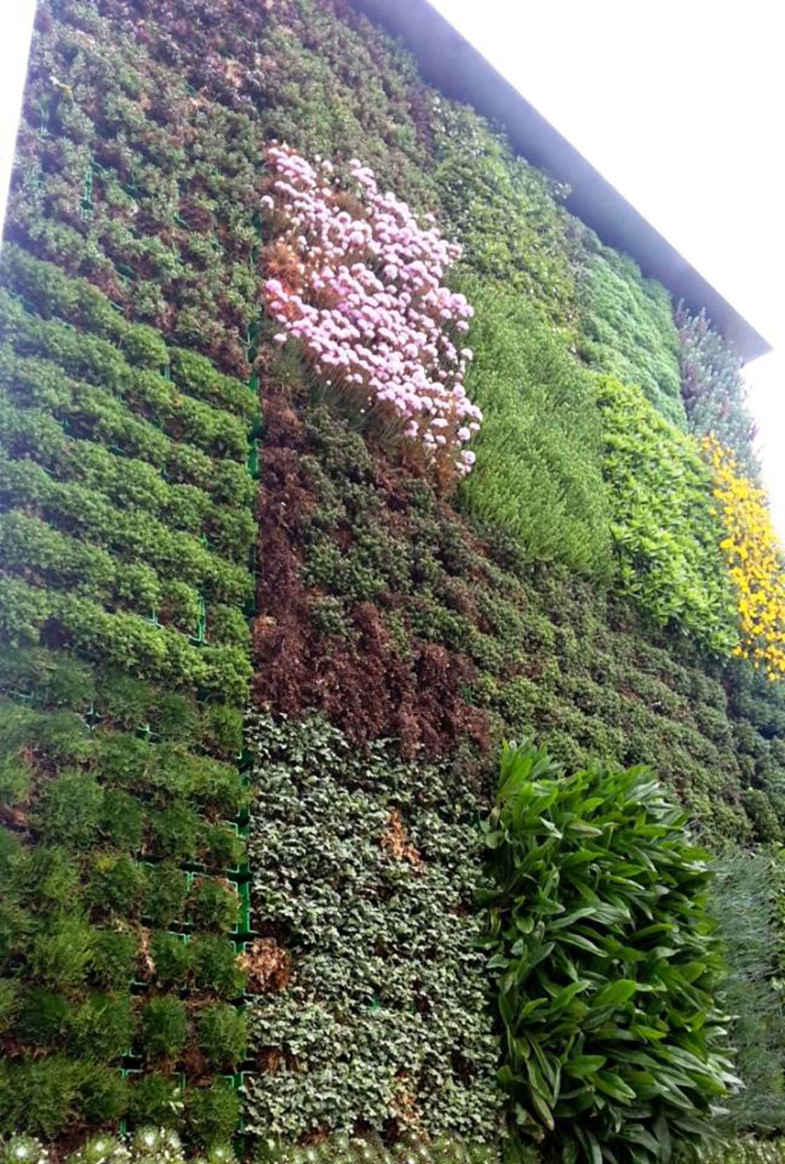 CityTree : ce mur végétalisé dépollue l’air comme une petite forêt #4