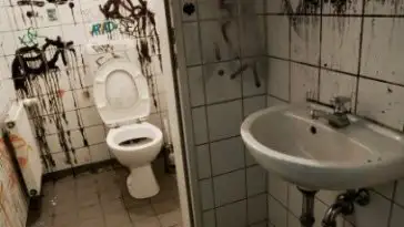 Ils ne lisent pas les CGU et acceptent de récurer les toilettes contre du Wifi