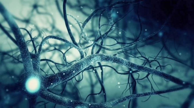 Nanotechnologie : bientôt une puce pour redonner la vue aux aveugles ?