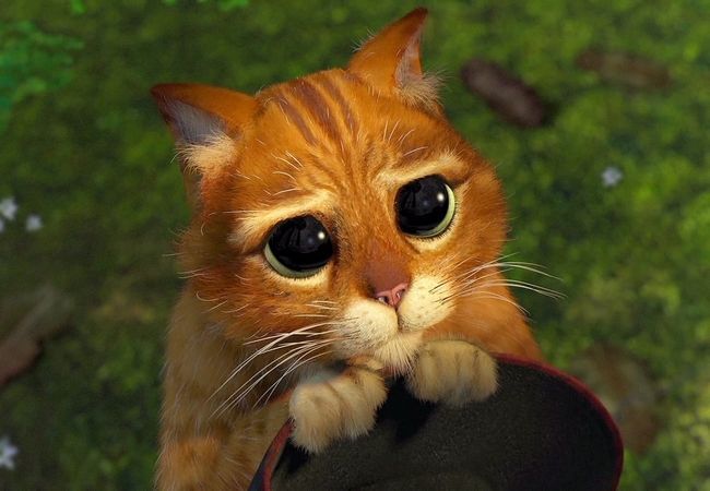 Dans 10 ans, nous pourrons discuter avec notre animal de compagnie #2