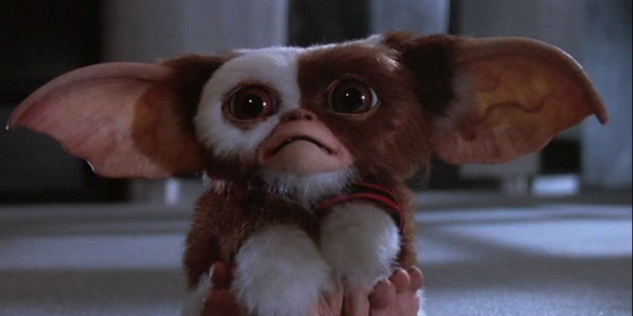 Gremlins 3 : Chris Columbus parle du scénario #3