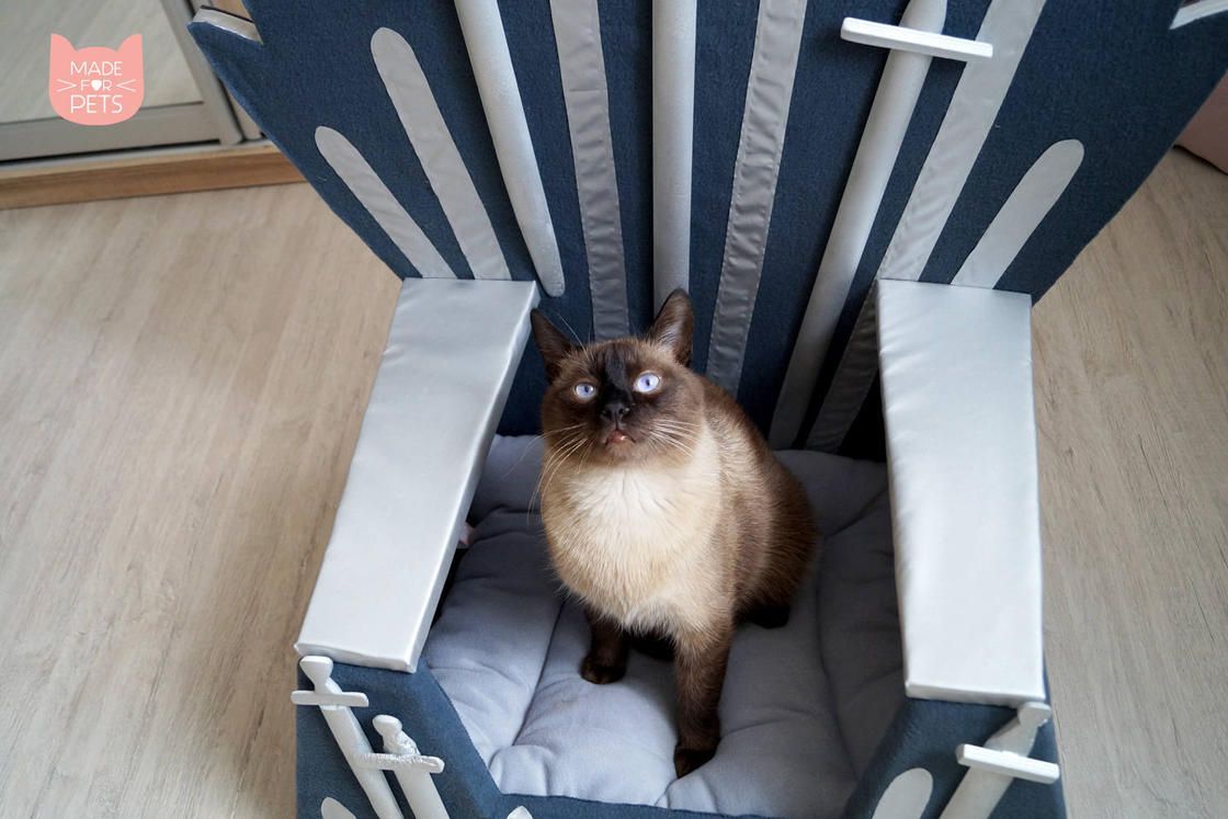 Game Of Thrones : Un trone pour votre chat #2