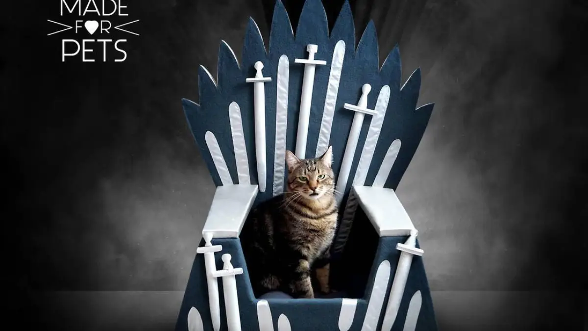 Game Of Thrones : Un trone pour votre chat