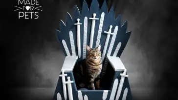 Game Of Thrones : Un trone pour votre chat