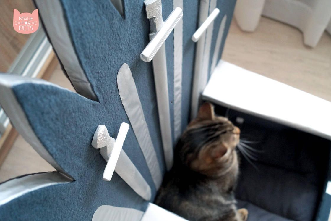 Game Of Thrones : Un trone pour votre chat #3
