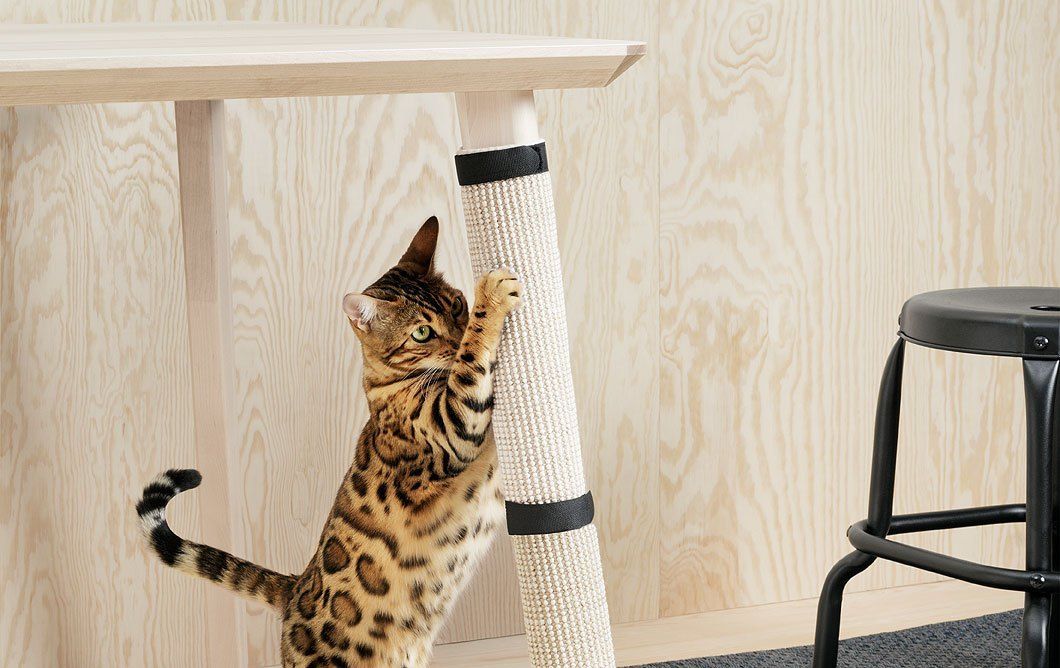 IKEA : une nouvelle collection uniquement pour chiens et chats #2