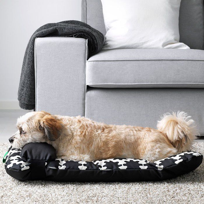 IKEA : une nouvelle collection uniquement pour chiens et chats #6