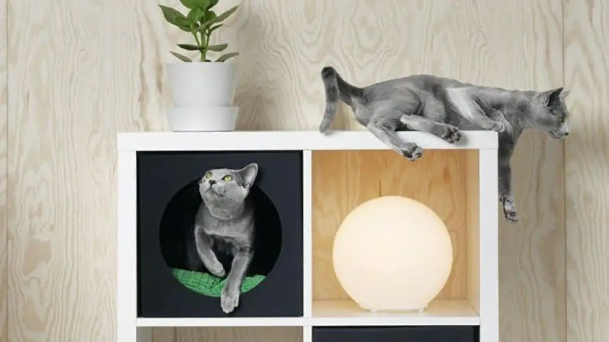 IKEA : une nouvelle collection uniquement pour chiens et chats