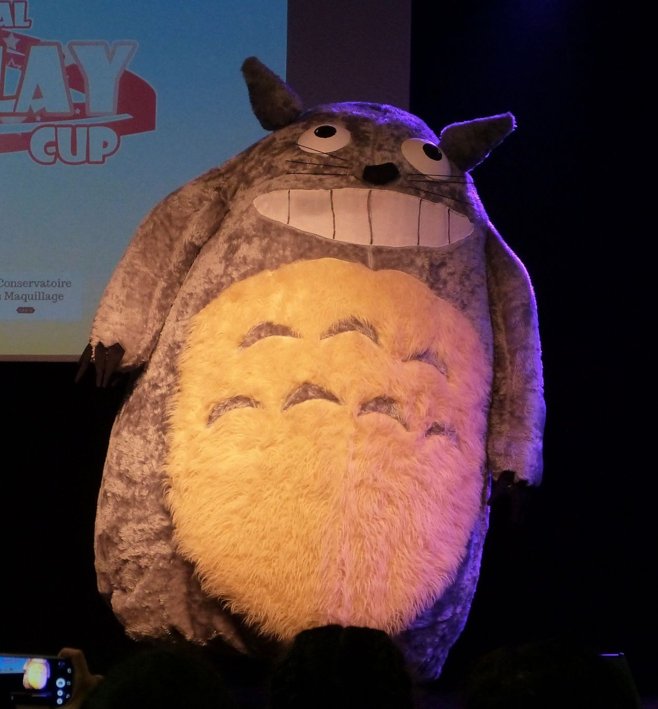 Paris Manga et Sci-Fi Show : Retour sur l’édition 2017 #25