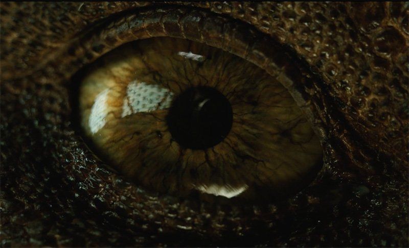 1ère bande annonce Jurassic World 2 : l’apocalypse des dinosaures peut commencer #3