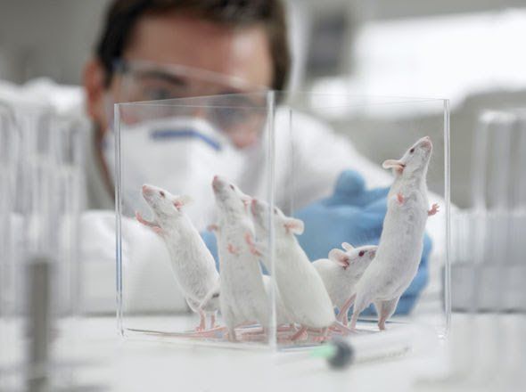 Ces nanorobots sont capables de détruire les cellules cancéreuses #4