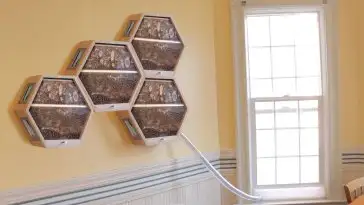 BEEcosystem permet d’installer une ruche dans votre appartement