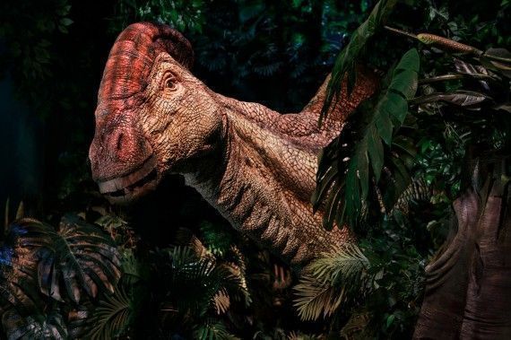 Jurassic World : l’exposition débarque à Paris #6