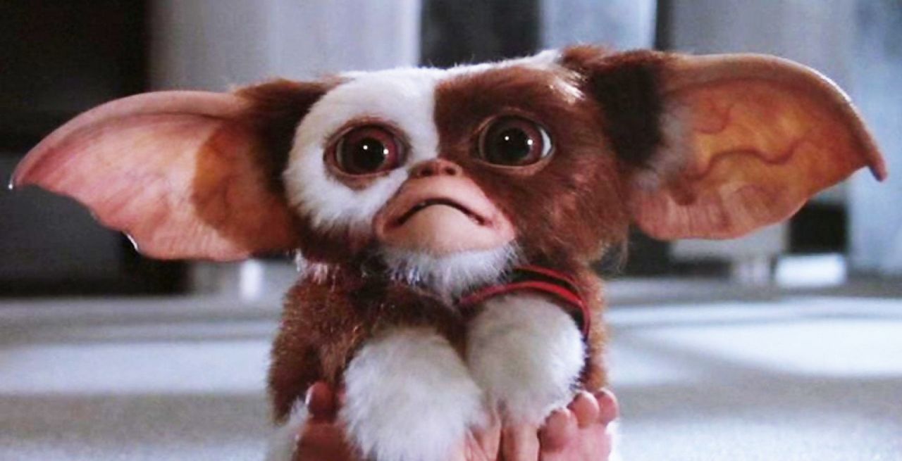 Gremlins 3 : la suite plus « sombre et tordue » se précise #4