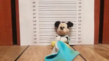 Alerte aux Doudous perdus chez IKEA