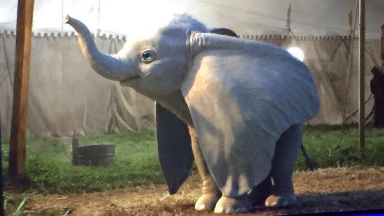 Dumbo : les 1ères images du film live action de Tim Burton #3
