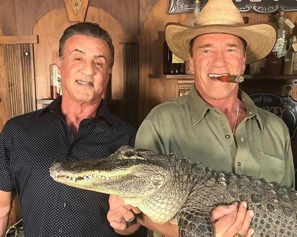 Expendables 4 : Sylvester Stallone et sa bande officiellement de retour #2