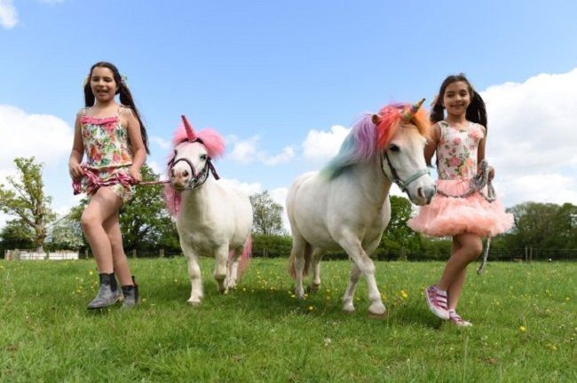 Louez une Licorne pour votre anniversaire #3
