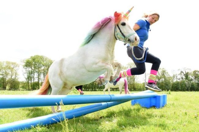 Louez une Licorne pour votre anniversaire #2